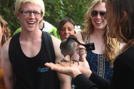 Students studying wildlife