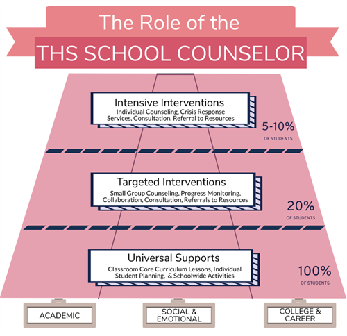 The role of the school counselor graphic
